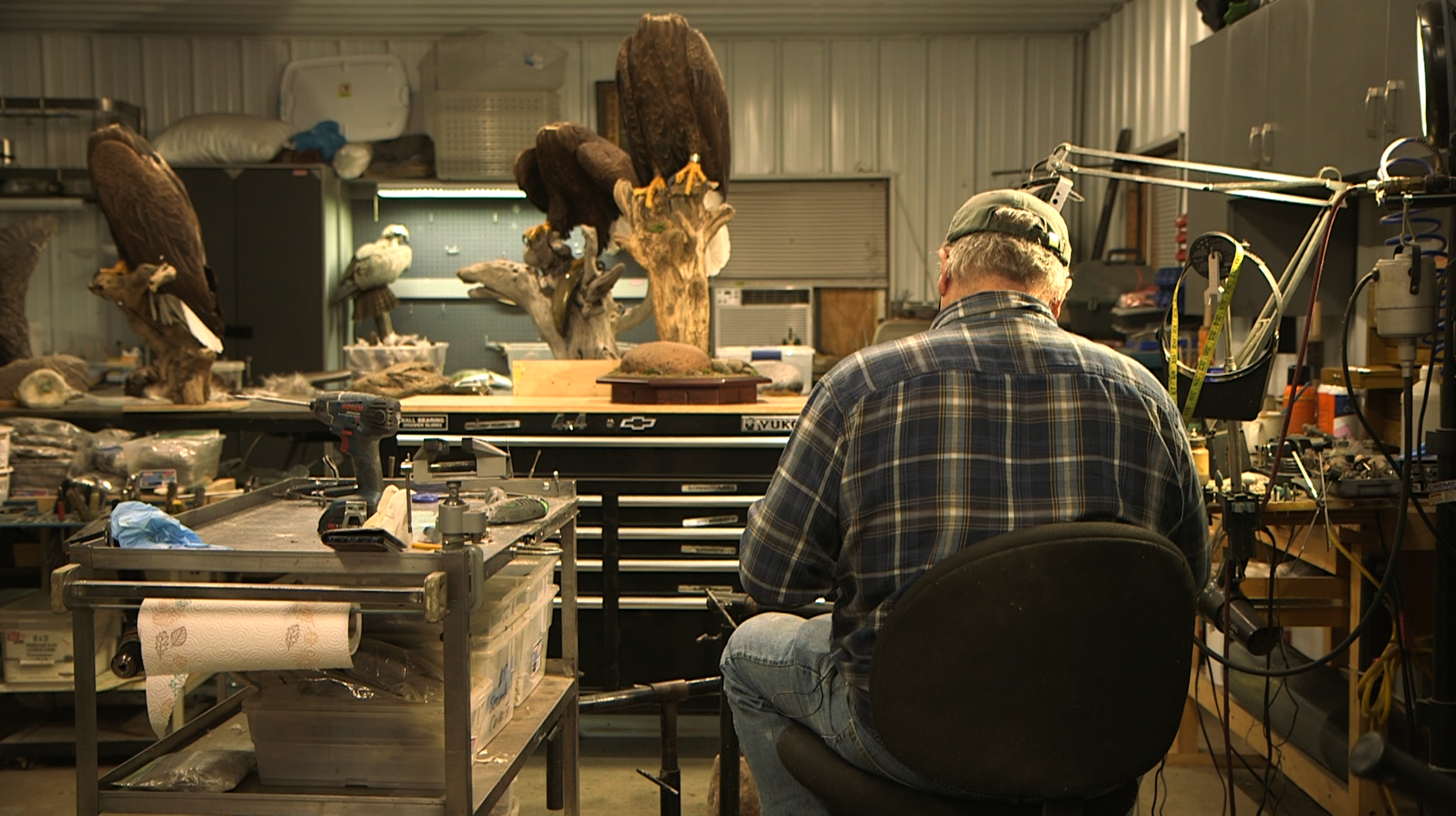 mark kendall american chimera video art bald eagle taxidermy
