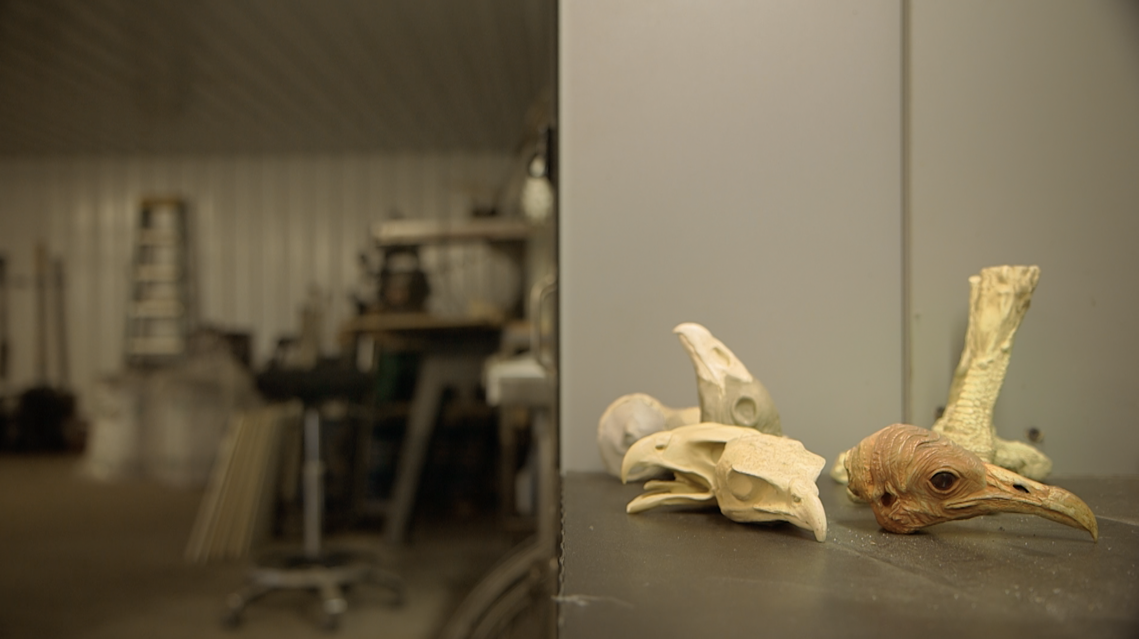 mark-kendall-american-chimera-video-art-bald-eagle-taxidermy-1