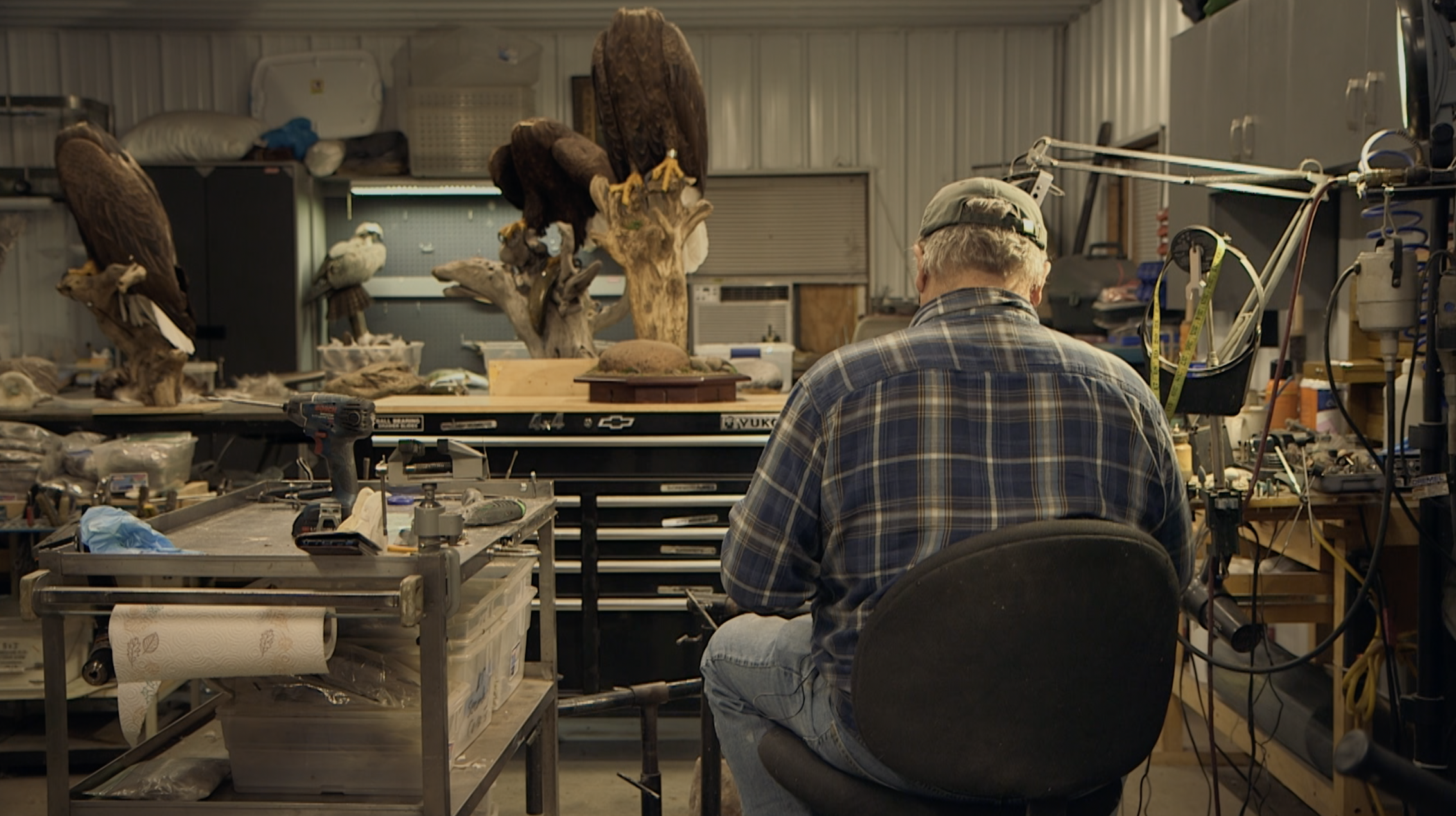 mark-kendall-american-chimera-video-art-bald-eagle-taxidermy-4